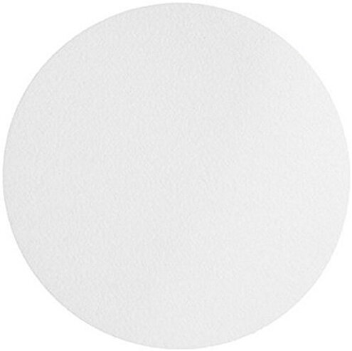 Omicron 133047 Borosilicate Glass Fiber Binder Free Filter, 1.2 μm, 47 mm (Pack of 100)