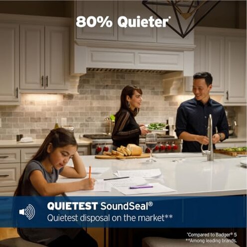 InSinkErator EVOLUTION 1HP 1 HP, Advanced Series Continuous Feed Food Waste Garbage Disposal, Gray