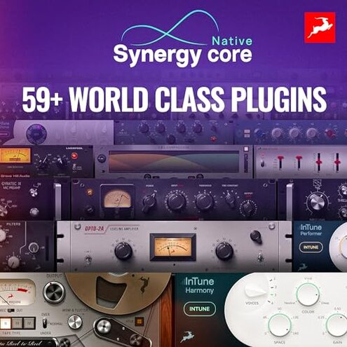 Antelope Audio - Synergy Core Native (1 Year)