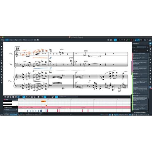 Steinberg Dorico Elements 6 (Download) - Download Card