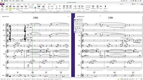 Sibelius Ultimate Music Notation Software Annual Subscription &ndash; Professional Music Notation Software (Download Card)