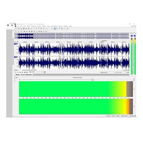 Sound Forge Pro 11 [Download]