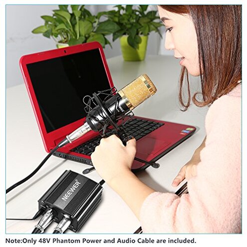 Neewer 1-Channel 48V Phantom Power Supply with Adapter, BONUS+XLR 3 Pin Microphone Cable for Any Condenser Microphone Music Recording Equipment (8 feet)