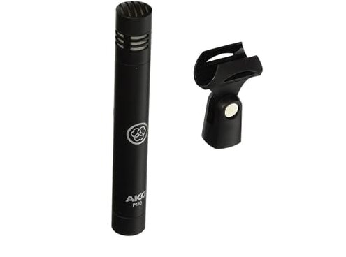 AKG Pro Audio AKG Perception 170 Professional Instrumental Microphone
