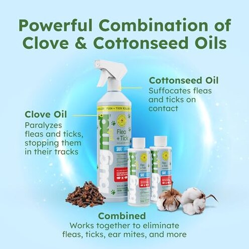 BugMD Flea and Tick Concentrate (3.7 oz, 2 Pack) &ndash; Essential Oil Formula for Dogs, Controls Fleas, Ticks & Mites, Safe for Pet Beds, Kennels & Home Use