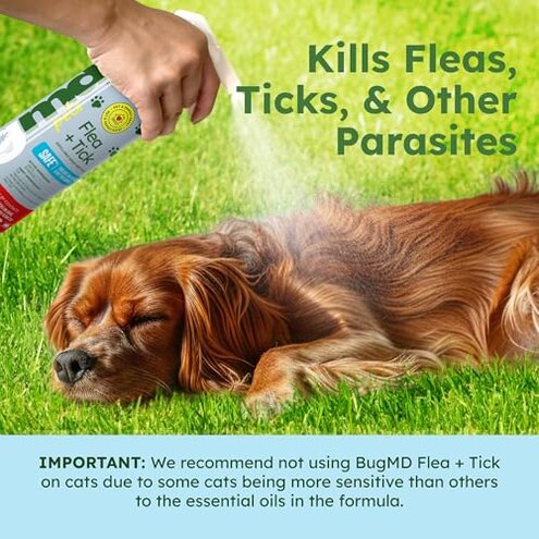 BugMD Flea and Tick Concentrate (3.7 oz, 2 Pack) &ndash; Essential Oil Formula for Dogs, Controls Fleas, Ticks & Mites, Safe for Pet Beds, Kennels & Home Use