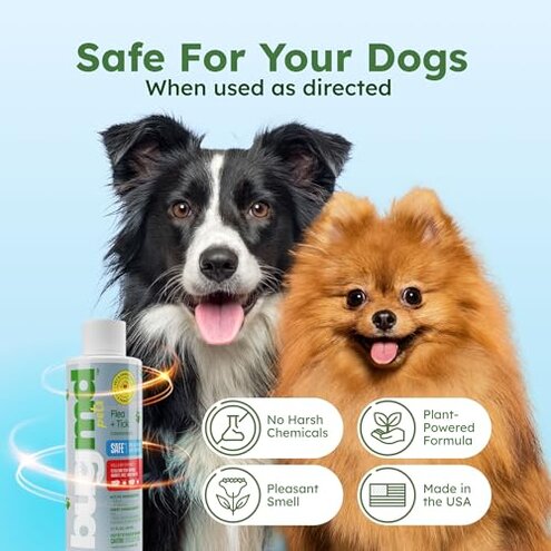 BugMD Flea and Tick Concentrate (3.7 oz, 2 Pack) &ndash; Essential Oil Formula for Dogs, Controls Fleas, Ticks & Mites, Safe for Pet Beds, Kennels & Home Use