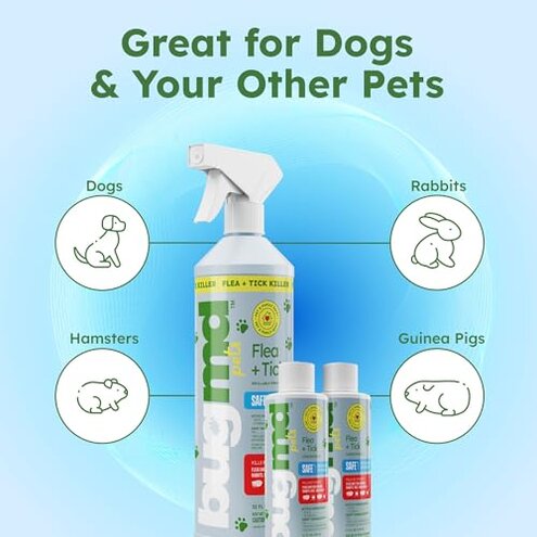 BugMD Flea and Tick Concentrate (3.7 oz, 2 Pack) &ndash; Essential Oil Formula for Dogs, Controls Fleas, Ticks & Mites, Safe for Pet Beds, Kennels & Home Use