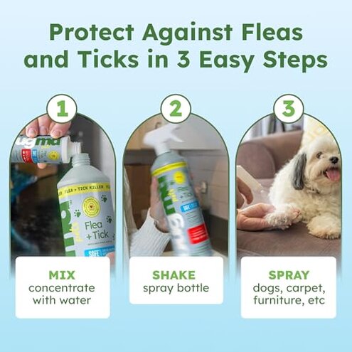 BugMD Flea and Tick Concentrate (3.7 oz, 2 Pack) &ndash; Essential Oil Formula for Dogs, Controls Fleas, Ticks & Mites, Safe for Pet Beds, Kennels & Home Use