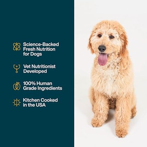 JustFoodForDogs JustFresh Wet Dog Food, Fresh Pet Meals and Toppers with No Preservatives, Resealable Package, Human Grade, Home-Cooked Chicken, 12 oz - 7 Pack