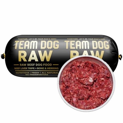 Team Dog Raw Mess and Storage Issues Review