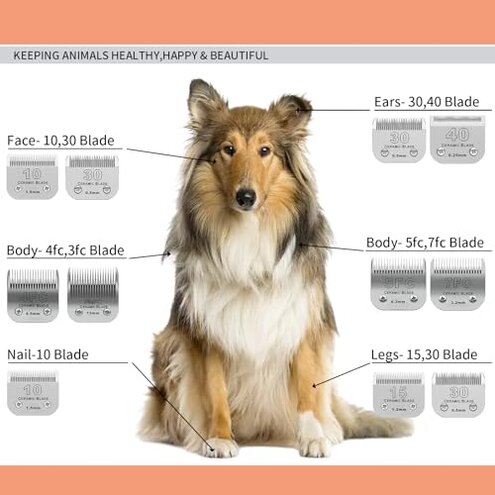 DODAER 3 Pack 10# Detachable Pet Dog Grooming Ceramic Blades,Compatible with Andis,Oster A5,Wahl KM-10 Series,Size #10 Blade 1/16-Inch 1.5MM Cut Length