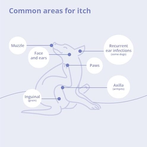 MiconaHex+Triz Shampoo for Dogs, Cats and Horses, 16 oz