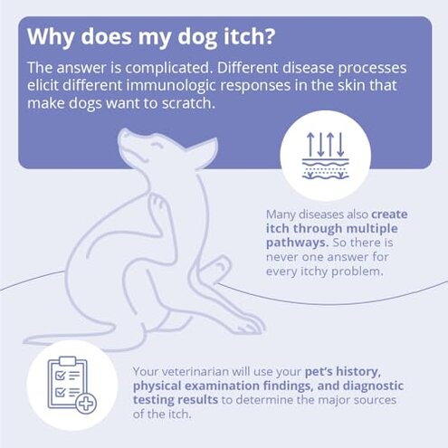 MiconaHex+Triz Shampoo for Dogs, Cats and Horses, 16 oz