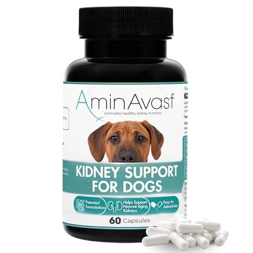 AminAvast Slow Results Issues Review