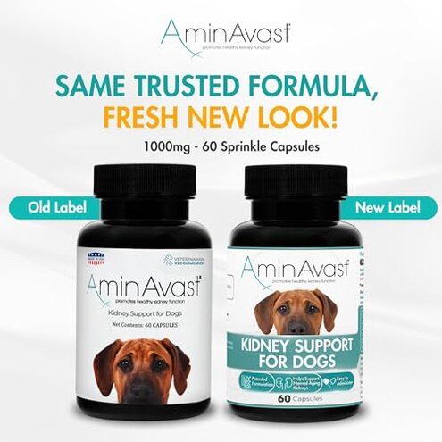 AminAvast Dog Kidney Supplement - Supports Natural Kidney Function - Promotes Health & Vitality of Aging Kidneys - Pet-Friendly, 1000mg, 60 Capsules.