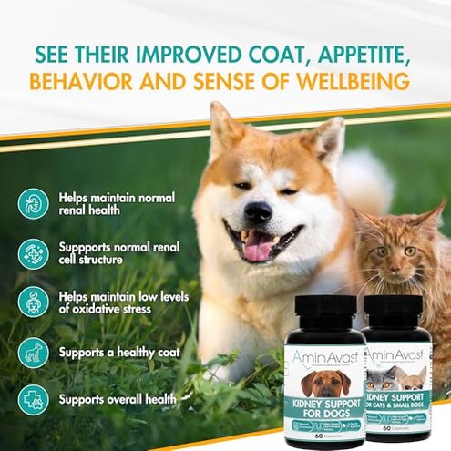 AminAvast Dog Kidney Supplement - Supports Natural Kidney Function - Promotes Health & Vitality of Aging Kidneys - Pet-Friendly, 1000mg, 60 Capsules.