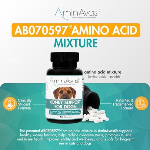 AminAvast Dog Kidney Supplement - Supports Natural Kidney Function - Promotes Health & Vitality of Aging Kidneys - Pet-Friendly, 1000mg, 60 Capsules.