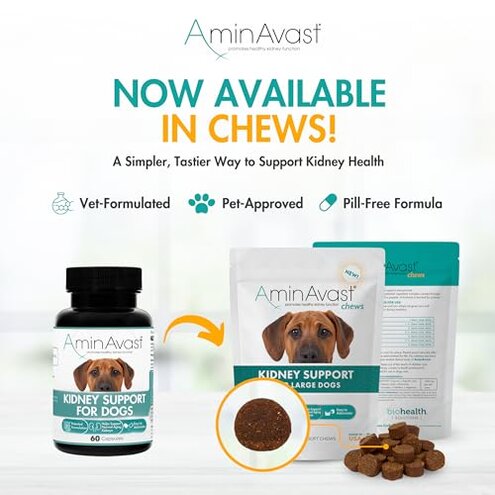 AminAvast Dog Kidney Supplement - Supports Natural Kidney Function - Promotes Health & Vitality of Aging Kidneys - Pet-Friendly, 1000mg, 60 Capsules.