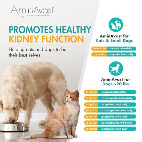 AminAvast Dog Kidney Supplement - Supports Natural Kidney Function - Promotes Health & Vitality of Aging Kidneys - Pet-Friendly, 1000mg, 60 Capsules.