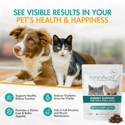 AminAvast Small Dogs & Cat Kidney Support - Promotes Healthy Kidney Support in Cats & Small Dogs - 300mg (60 Chews)