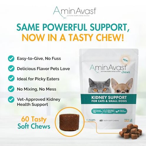 AminAvast Small Dogs & Cat Kidney Support - Promotes Healthy Kidney Support in Cats & Small Dogs - 300mg (60 Chews)