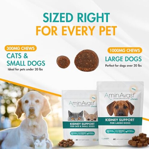 AminAvast Small Dogs & Cat Kidney Support - Promotes Healthy Kidney Support in Cats & Small Dogs - 300mg (60 Chews)