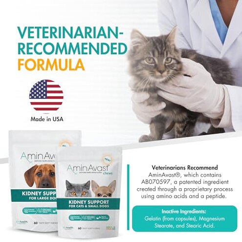 AminAvast Small Dogs & Cat Kidney Support - Promotes Healthy Kidney Support in Cats & Small Dogs - 300mg (60 Chews)
