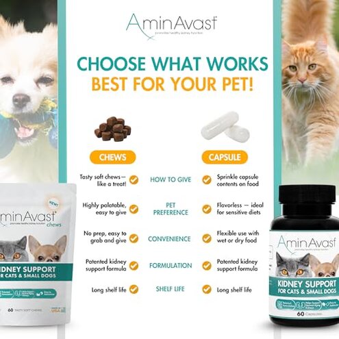 AminAvast Small Dogs & Cat Kidney Support - Promotes Healthy Kidney Support in Cats & Small Dogs - 300mg (60 Chews)
