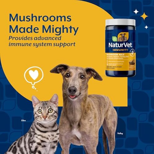 NaturVet Mushroom Max Advanced Immune Support Dog Supplement &ndash; Helps Strengthen Immunity, Overall Health for Dogs &ndash; Includes Shitake Mushrooms, Reishi, Turkey Tail &ndash; 120 Ct.