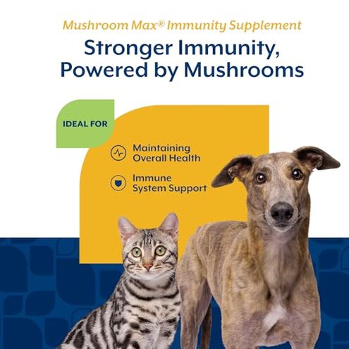 NaturVet Mushroom Max Advanced Immune Support Dog Supplement &ndash; Helps Strengthen Immunity, Overall Health for Dogs &ndash; Includes Shitake Mushrooms, Reishi, Turkey Tail &ndash; 120 Ct.