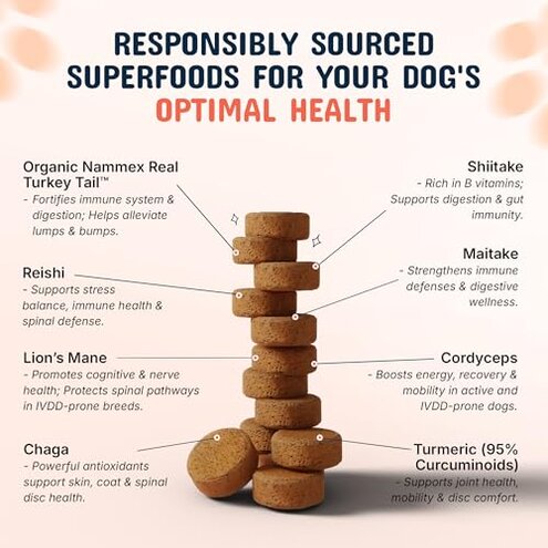 Turkey Tail Mushroom for Dogs with Organic Real Turkey Tail&trade; - 8:1 Extract Mushroom Chews for Lumps & Bumps, Immunity, Gut, Skin, Joint & Spine Support - Reishi, Lion&rsquo;s Mane - 120 Soft Chews