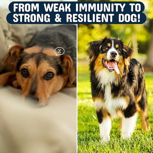 Turkey Tail Mushroom for Dogs with Organic Real Turkey Tail&trade; - 8:1 Extract Mushroom Chews for Lumps & Bumps, Immunity, Gut, Skin, Joint & Spine Support - Reishi, Lion&rsquo;s Mane - 120 Soft Chews