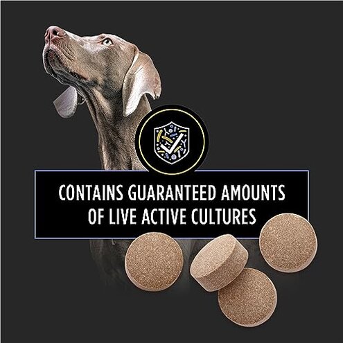 Purina Pro Plan Veterinary Supplements FortiFlora Probiotics for Dogs Chewable Tablets for Digestive Gut Health and Diarrhea - 45 ct. Canister