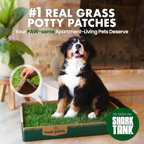 Fresh Patch Real Grass Patch for Dogs, Cats, and Small-Medium Pets Under 15 Pounds &ndash; Disposable Pet Grass Pee Pads &ndash; Indoor and Outdoor Potty Training Mat (16 Inches x 24 Inches)