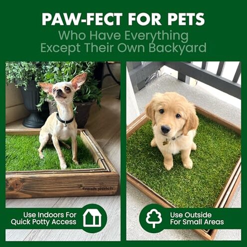 Fresh Patch Real Grass Patch for Dogs, Cats, and Small-Medium Pets Under 15 Pounds &ndash; Disposable Pet Grass Pee Pads &ndash; Indoor and Outdoor Potty Training Mat (16 Inches x 24 Inches)