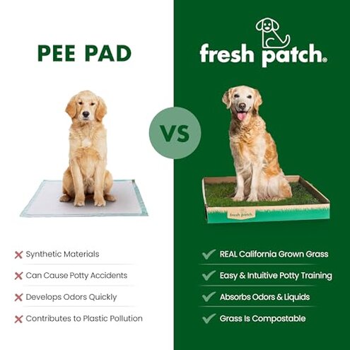Fresh Patch Real Grass Patch for Dogs, Cats, and Small-Medium Pets Under 15 Pounds &ndash; Disposable Pet Grass Pee Pads &ndash; Indoor and Outdoor Potty Training Mat (16 Inches x 24 Inches)