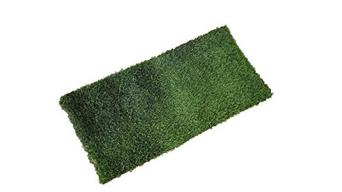 Fresh Patch Real Grass Patch for Dogs, Cats, and Extra Large Pets 30 Pounds and Above – Disposable Pet Grass Pee Pads – Indoor and Outdoor Potty Training Mat (24 Inches x 48 Inches)