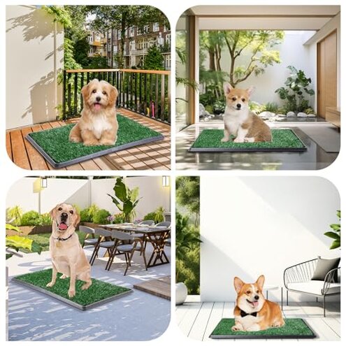 LOOBANI Dog Grass Pad with Tray - Dog Litter Box - Indoor Potty for Apartment and Patio Training - with 2 Packs Grass Pee Pads for Replacement, 16&times;20 Inch