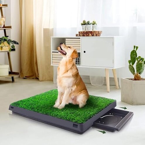 Dog Grass Pad — Odor & Drainage Problems: Buyer Review