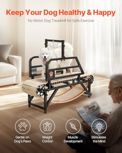 VEVOR Dog Treadmill for Small&Medium Dogs, Indoor Pet Running Machine Slat Mill to Keep Dogs Active & Fit, 360&deg; Rotatable LED Display, 3 Adjustable Ramps, Low-Noise Design, Remote Control &Move Wheels