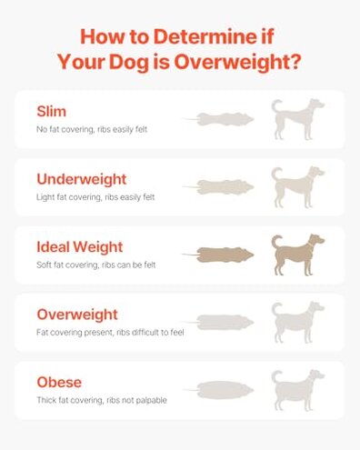 VEVOR Dog Treadmill for Small&Medium Dogs, Indoor Pet Running Machine Slat Mill to Keep Dogs Active & Fit, 360&deg; Rotatable LED Display, 3 Adjustable Ramps, Low-Noise Design, Remote Control &Move Wheels