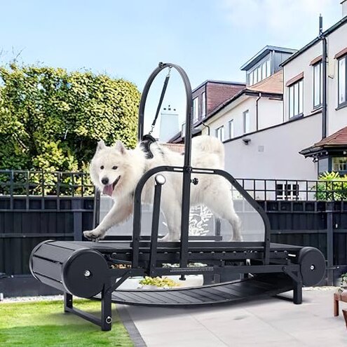 Dog Treadmill — Safety & Durability Issues Review Explained