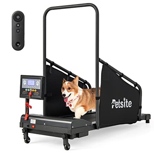 PETSITE Treadmill Reliability Issues: Why Buyers Warn Review