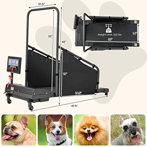 GYMAX Dog Treadmills for Small/Medium Dogs - 220 LBS Pet Runner with 65.5 FT Remote, Rotatable LCD Monitor, Adjustable Incline, 3 Countdown Modes & Wheels, Dog Running Machine for Indoor Exercise