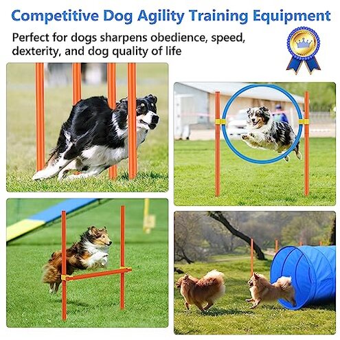 XiaZ Dog Agility Course Backyard Set, Dog Obstacle Course Training Starter Kit Pet Outdoor Game with Tunnel, Agility Hurdle, Weave Poles, Jump Ring, Pause Box, Collapsible Dog Bowls and Storage Bag
