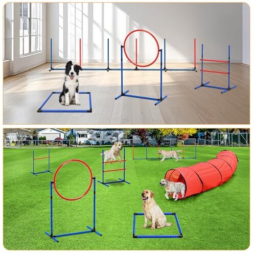 DWVO Dog Agility Accessories Kit: Comprises of a Teaser Pole, 2 Hurdles, 3 Flying Discs, 6 Weaving Poles, Agility Tunnel, Pause Box, Full Set of Agility Equipment for Backyard Indoors Outdoors