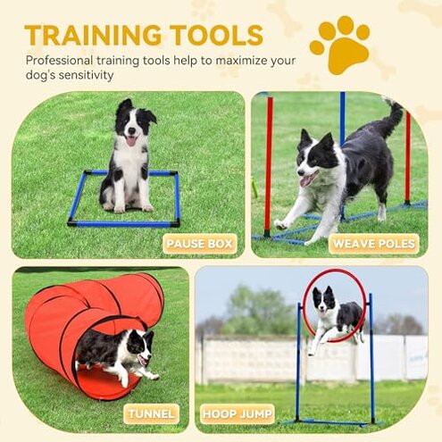 DWVO Dog Agility Accessories Kit: Comprises of a Teaser Pole, 2 Hurdles, 3 Flying Discs, 6 Weaving Poles, Agility Tunnel, Pause Box, Full Set of Agility Equipment for Backyard Indoors Outdoors