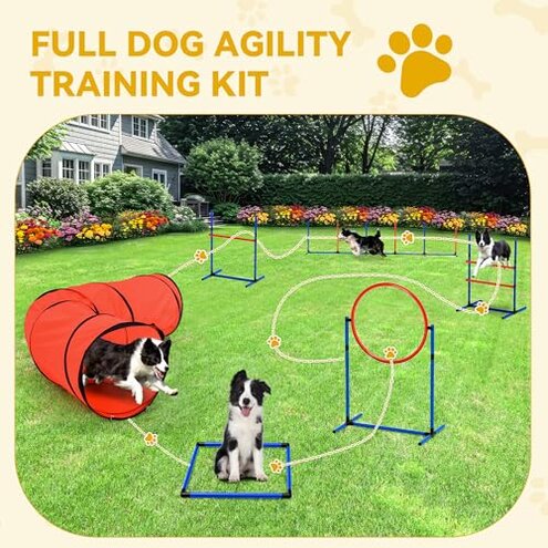 DWVO Dog Agility Accessories Kit: Comprises of a Teaser Pole, 2 Hurdles, 3 Flying Discs, 6 Weaving Poles, Agility Tunnel, Pause Box, Full Set of Agility Equipment for Backyard Indoors Outdoors