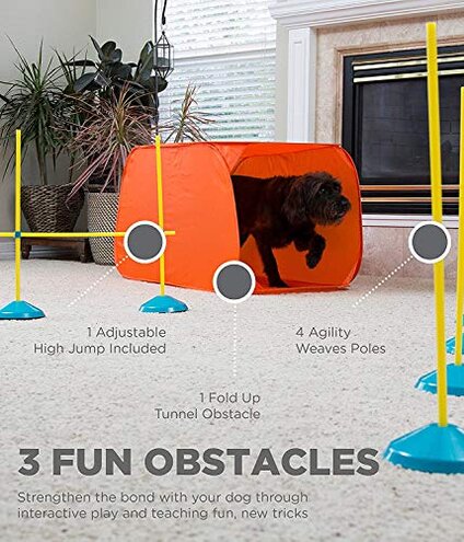 Outward Hound Zip & Zoom Dog Agility Kit Closed Tunnel Chute Attachment with Metal Stakes